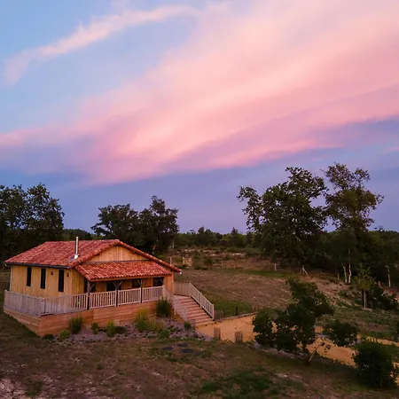 Vakantiehuis Maison Des Dunes *